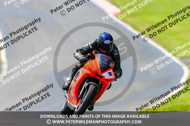 PJ Motorsport Photography 2020;anglesey;brands hatch;cadwell park;croft;donington park;enduro digital images;event digital images;eventdigitalimages;mallory;no limits;oulton park;peter wileman photography;racing digital images;silverstone;snetterton;trackday digital images;trackday photos;vmcc banbury run;welsh 2 day enduro